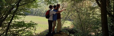 session term nature 